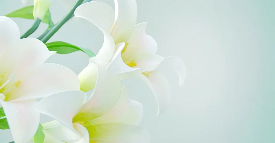 Purity